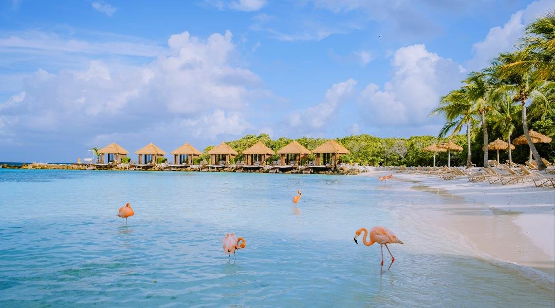 Flamingo Beach, Oranjestad, Aruba