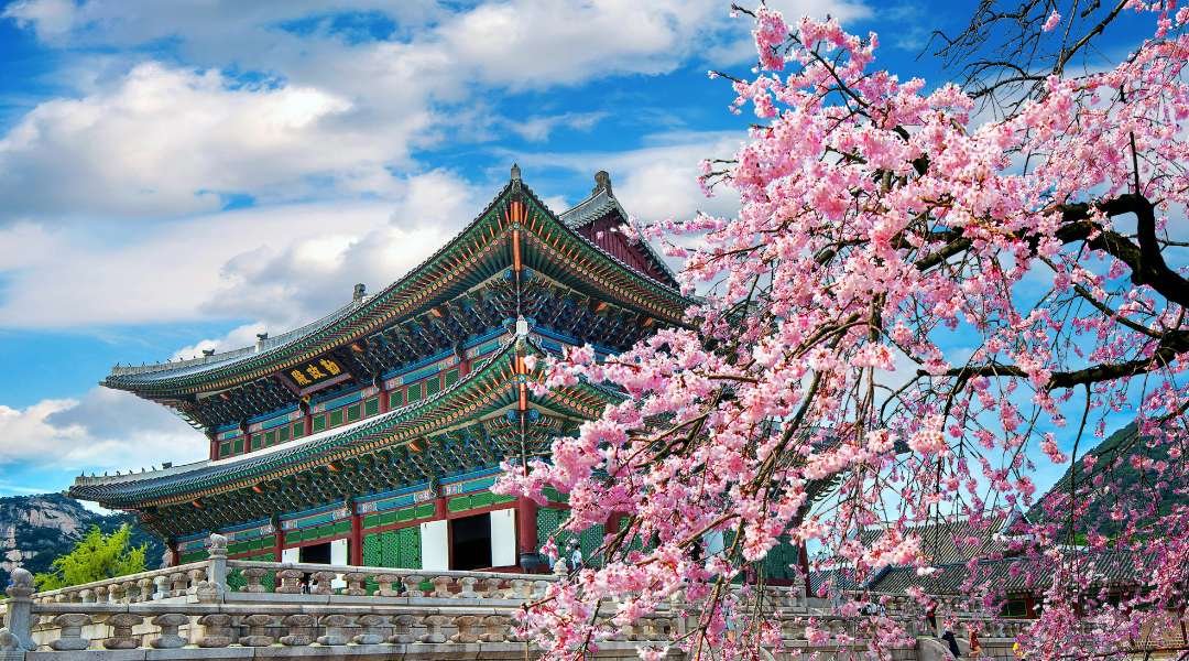 cheap flights to seoul south korea